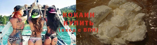 дмт Каменка