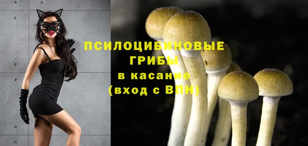 дмт Каменка
