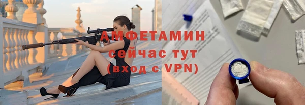 дмт Каменка