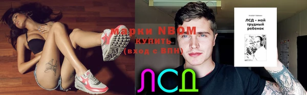 дмт Каменка