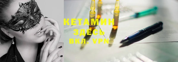 дмт Каменка