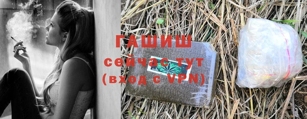 дмт Каменка