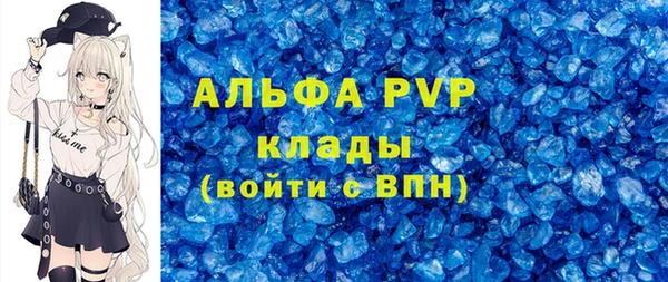 дмт Каменка