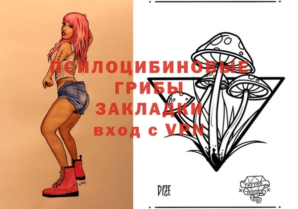 дмт Каменка