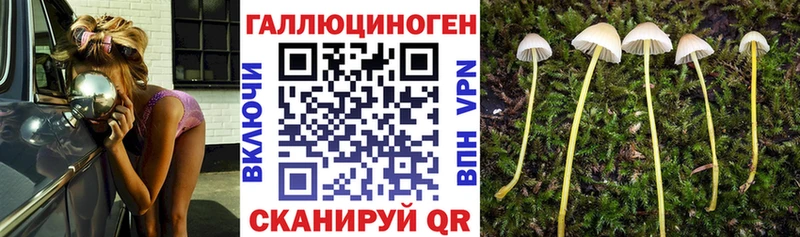 Псилоцибиновые грибы GOLDEN TEACHER Белореченск